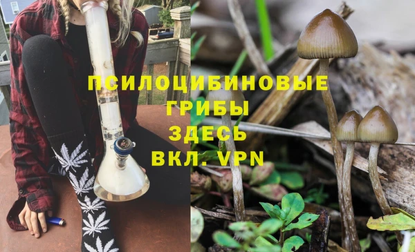 мескалин Баксан