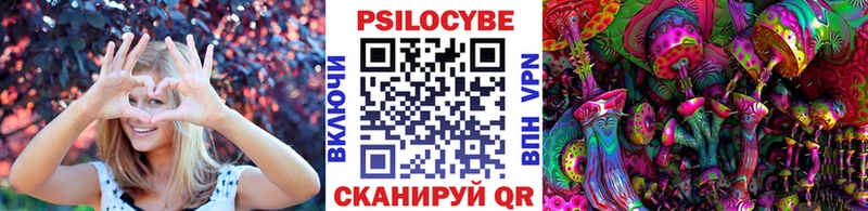 цена   Старая Русса  Галлюциногенные грибы Psilocybe 